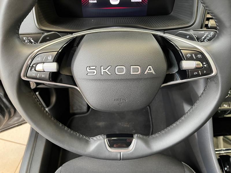 Skoda Karoq · Tour · Bild 19