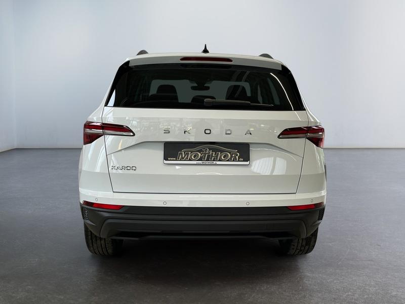 Skoda Karoq · Loft