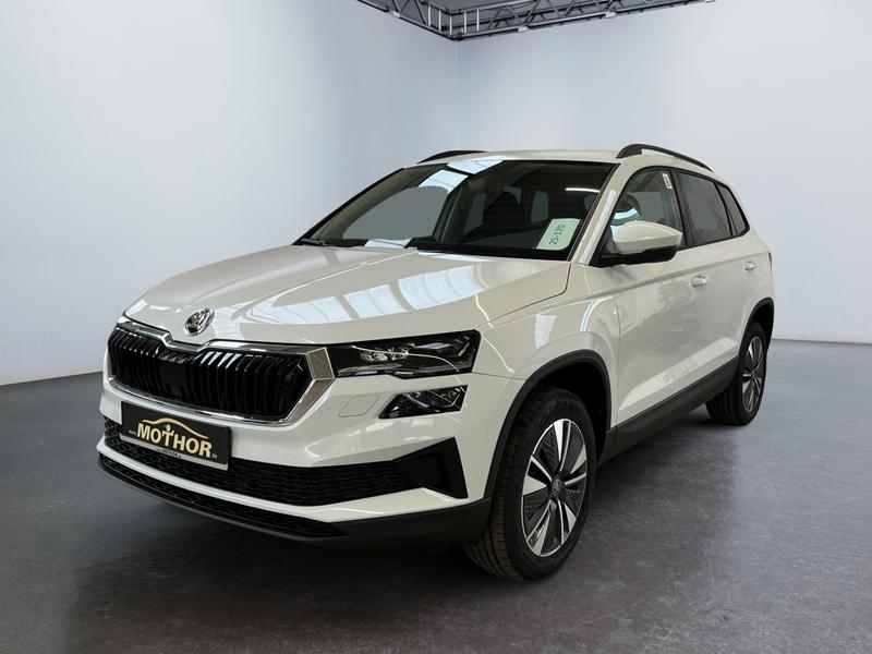 Skoda Karoq · Loft