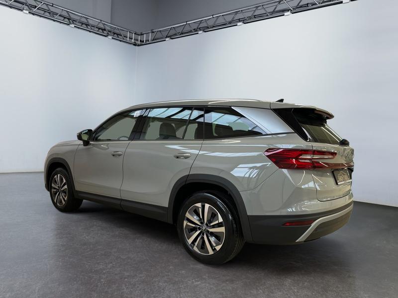 Skoda Kodiaq · Selection