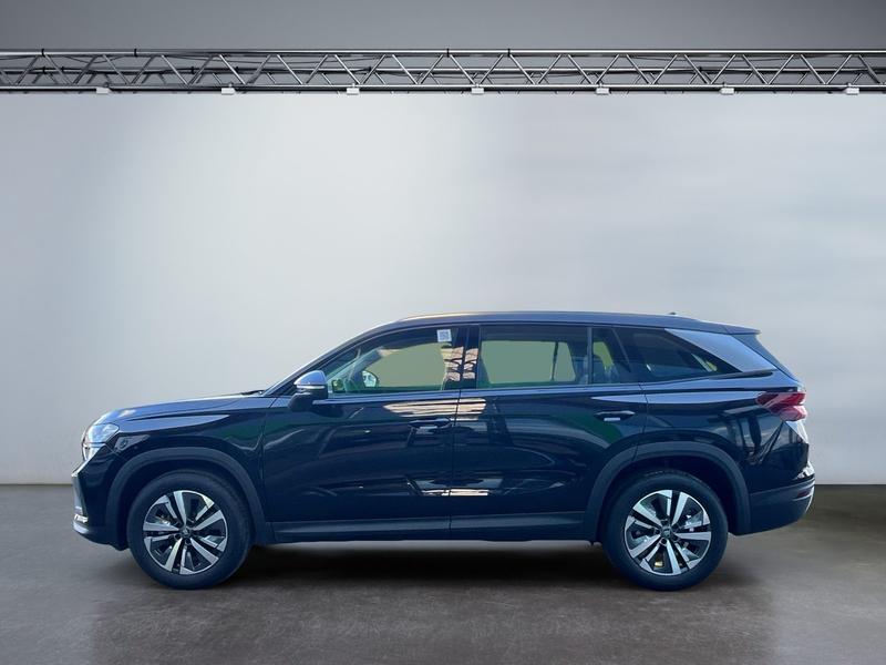 Skoda Kodiaq · Selection