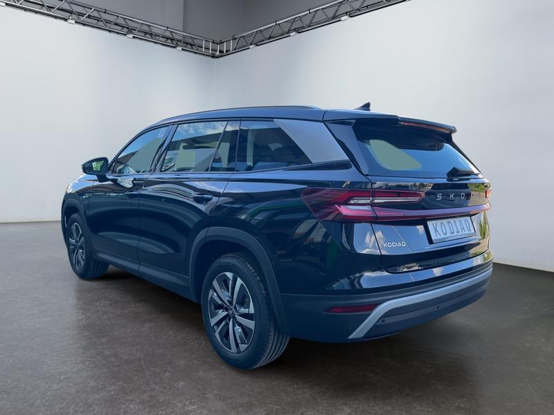 Skoda Kodiaq · Selection
