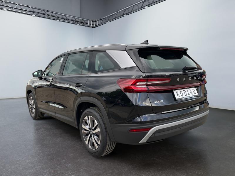 Skoda Kodiaq · Selection