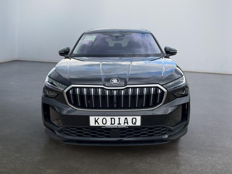 Skoda Kodiaq · Selection