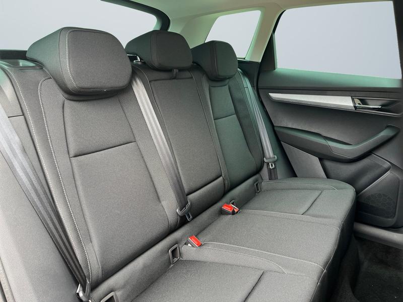 Skoda Karoq · Balance · Bild 11