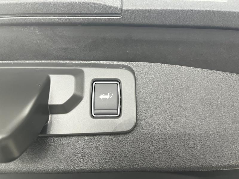 Mitsubishi Grandis · Diamant Top · Bild 16