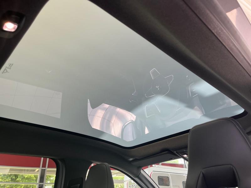 Mitsubishi Grandis · Diamant Top · Bild 17