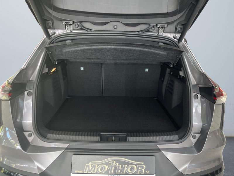 Mitsubishi Grandis · Diamant Top · Bild 14