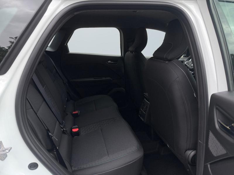 Mitsubishi Grandis · Diamant Plus · Bild 11
