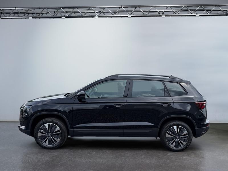 Skoda Karoq · Balance