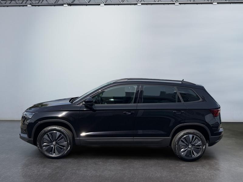 Skoda Karoq · Balance