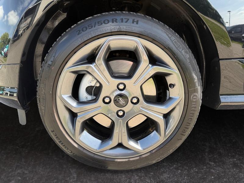 Ford Ecosport · ST-Line · Bild 15