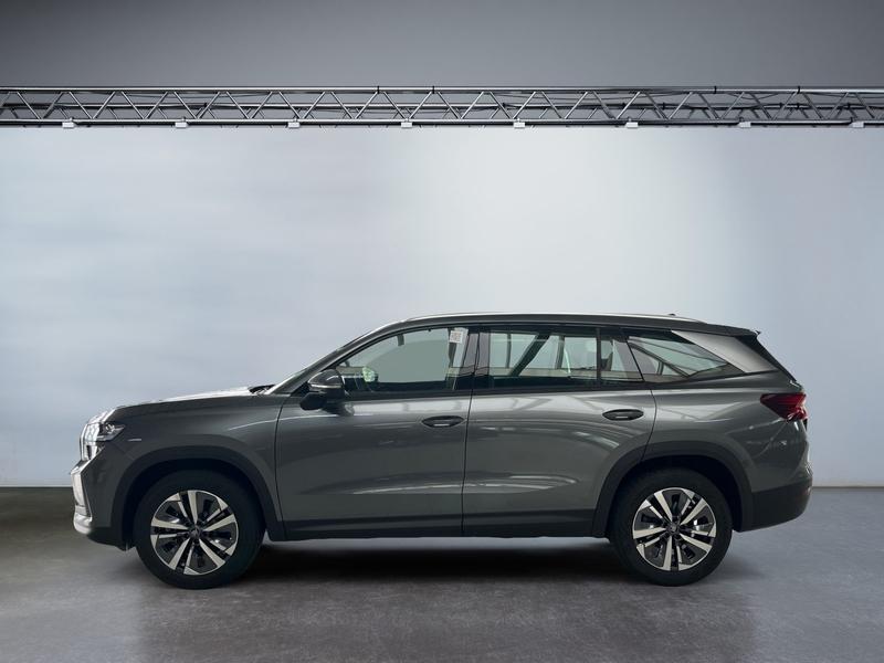 Skoda Kodiaq · Selection