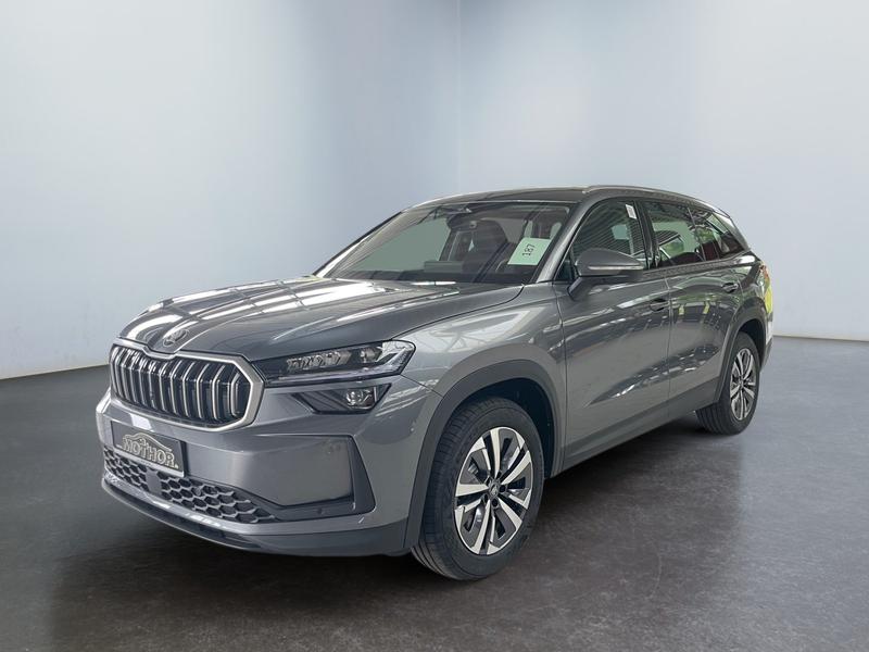 Skoda Kodiaq · Selection