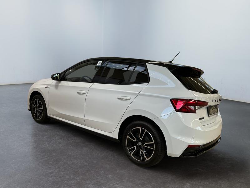 Skoda Fabia · Monte Carlo