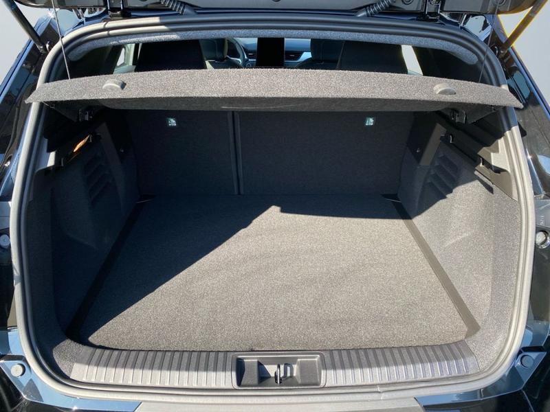 Mitsubishi Grandis · Diamant PLUS · Bild 14