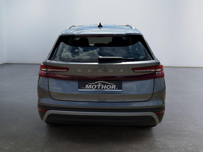 Skoda Kodiaq · Selection