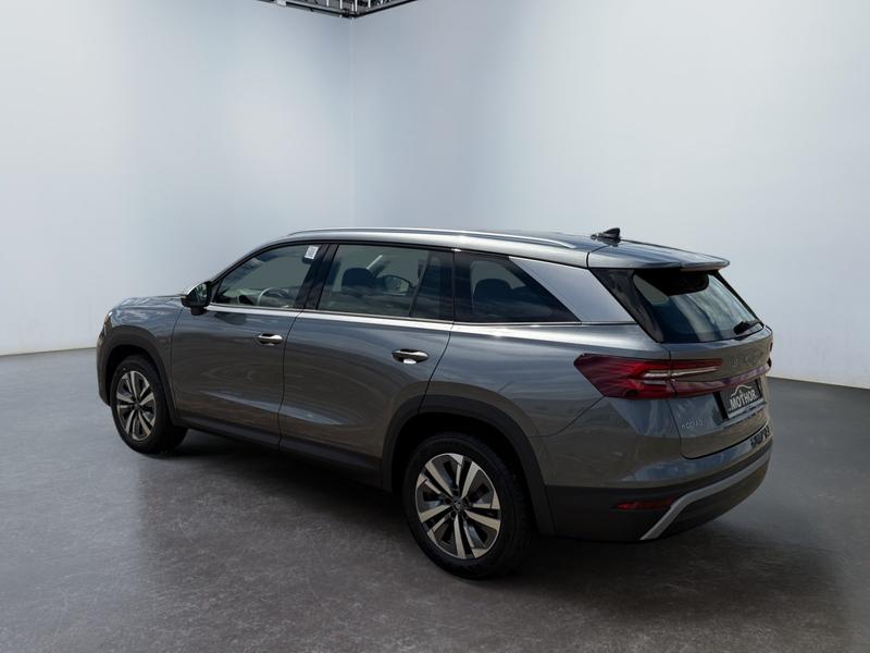Skoda Kodiaq · Selection