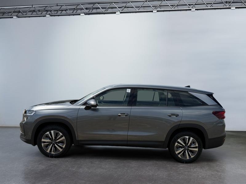 Skoda Kodiaq · Selection