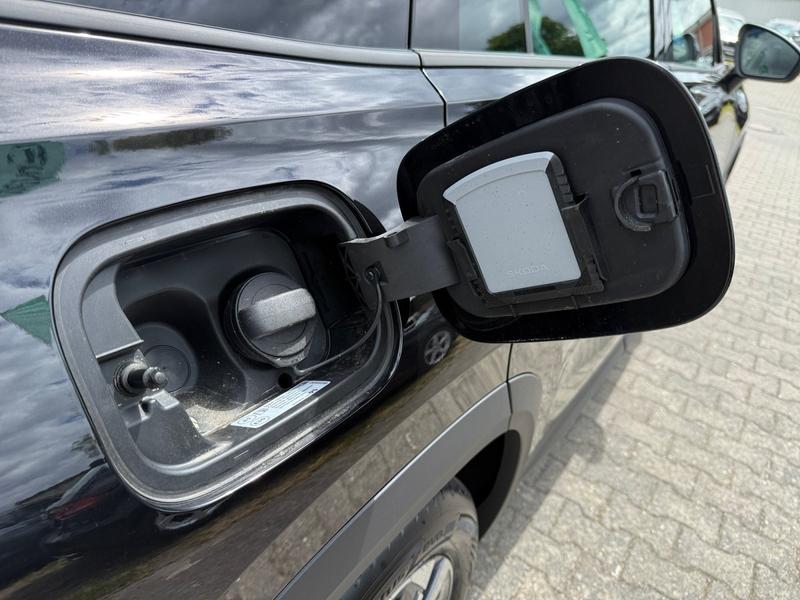 Skoda Kodiaq · mHEV W Selection · Bild 30