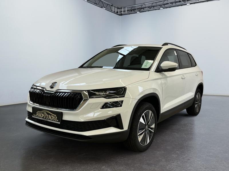 Skoda Karoq · Balance