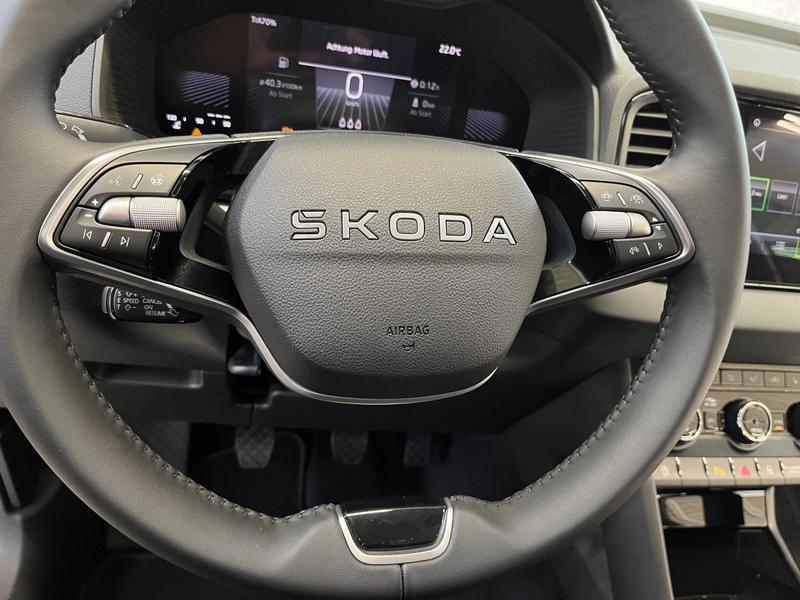 Skoda Karoq · Balance · Bild 17