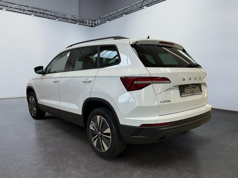Skoda Karoq · Balance