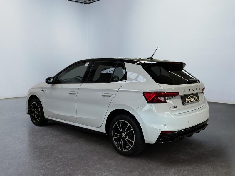 Skoda Fabia · Monte Carlo