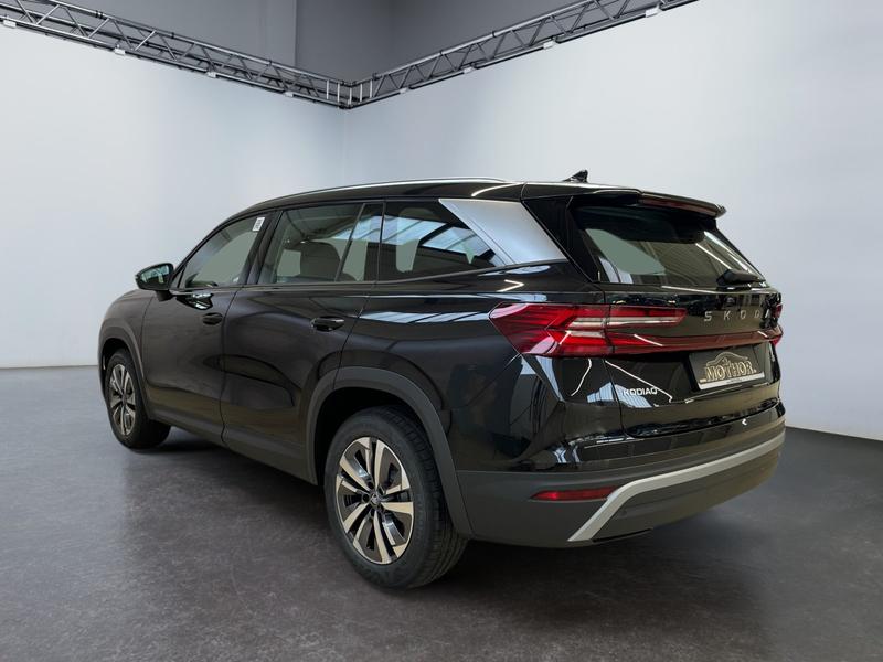 Skoda Kodiaq · Selection
