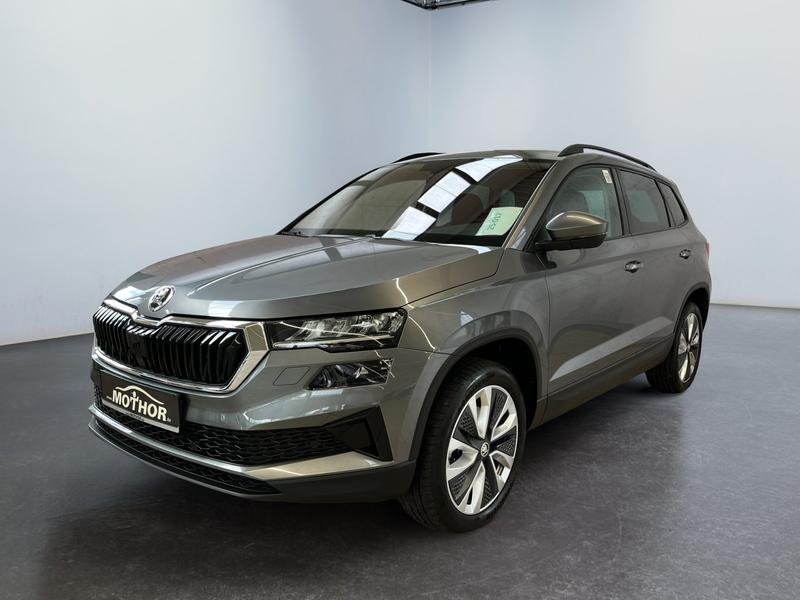 Skoda Karoq · Style