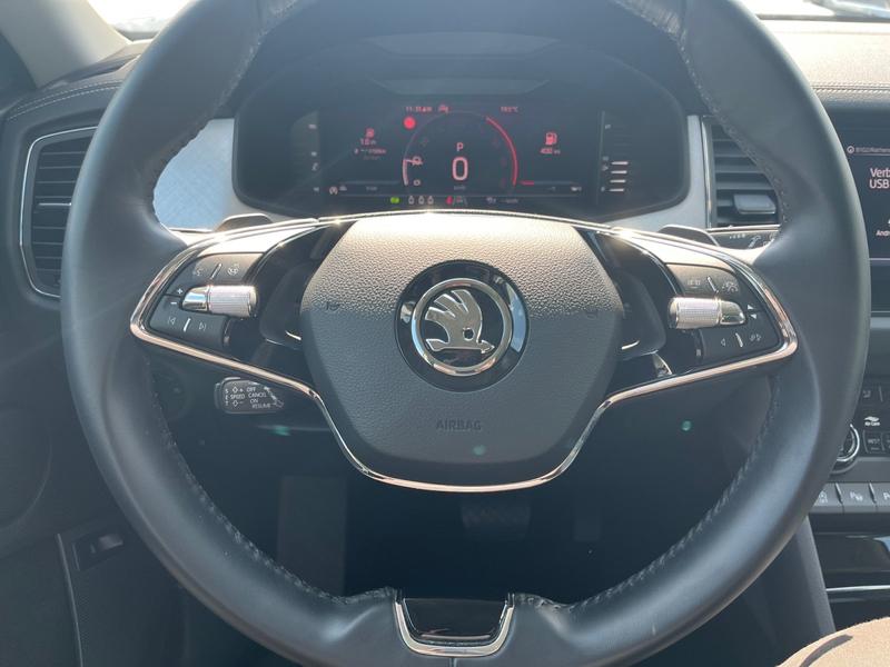 Skoda Kodiaq · Tour · Bild 19