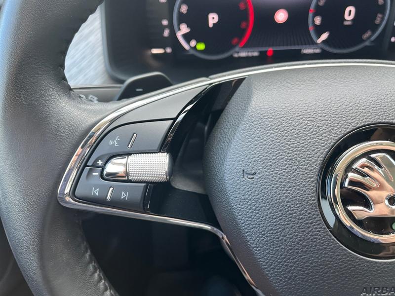 Skoda Kodiaq · Style · Bild 20