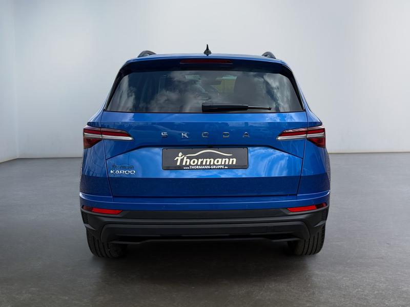 Skoda Karoq · Selection