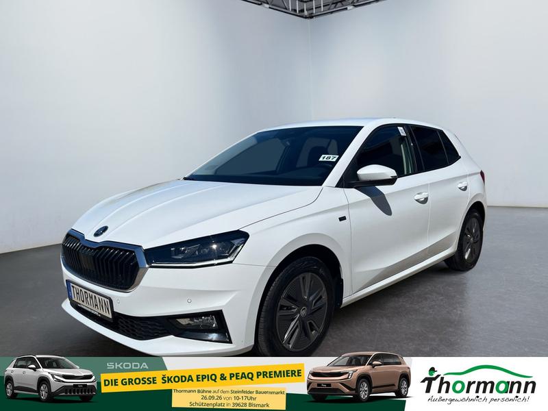 Skoda Fabia · Tour