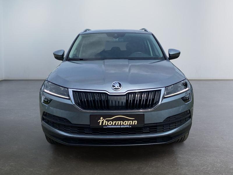 Skoda Karoq · Clever