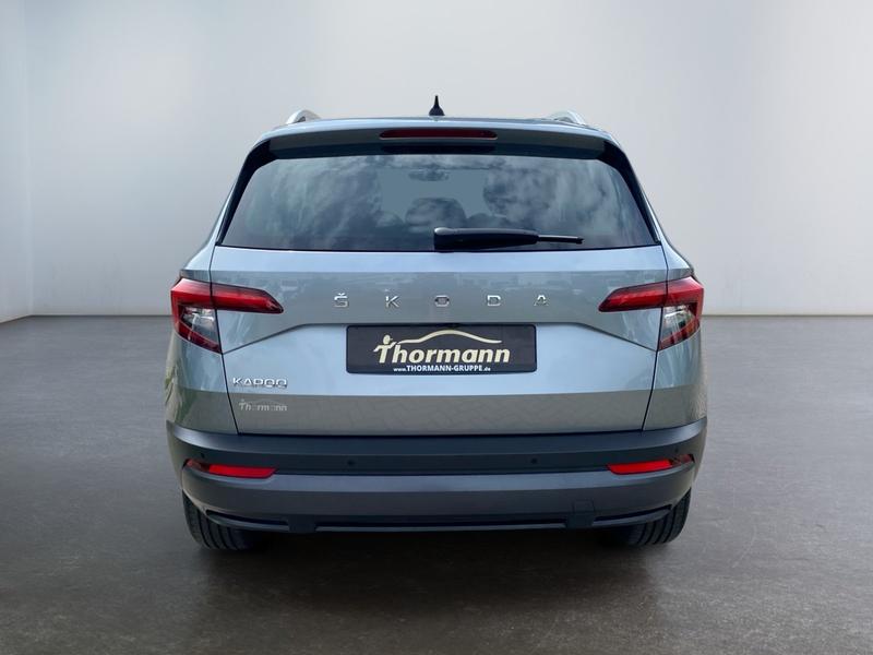 Skoda Karoq · Clever