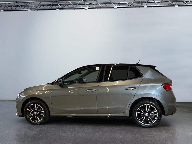 Skoda Fabia · Monte Carlo