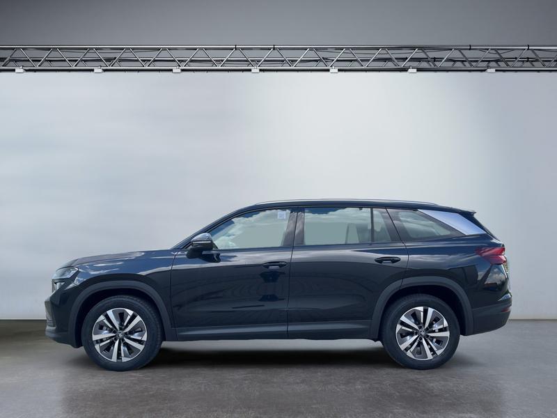 Skoda Kodiaq · Selection