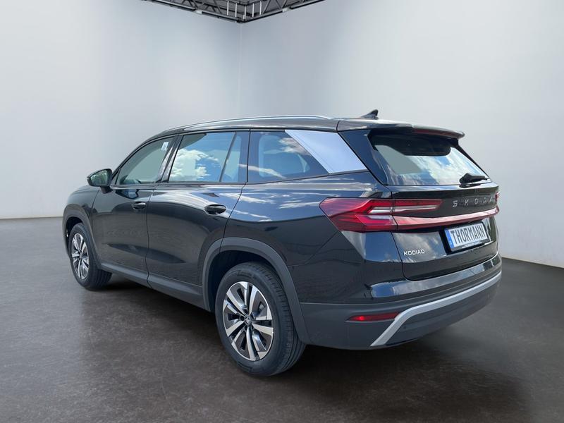 Skoda Kodiaq · Selection