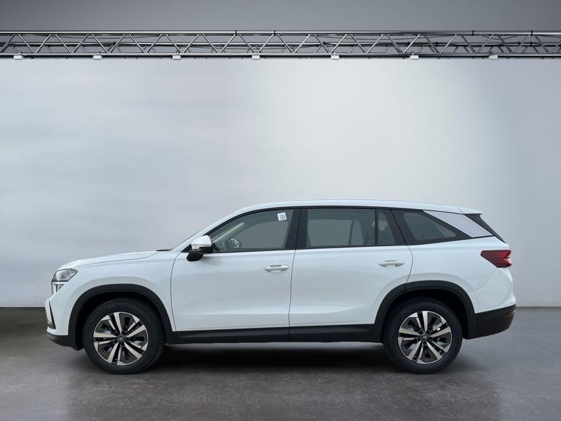 Skoda Kodiaq · Selection