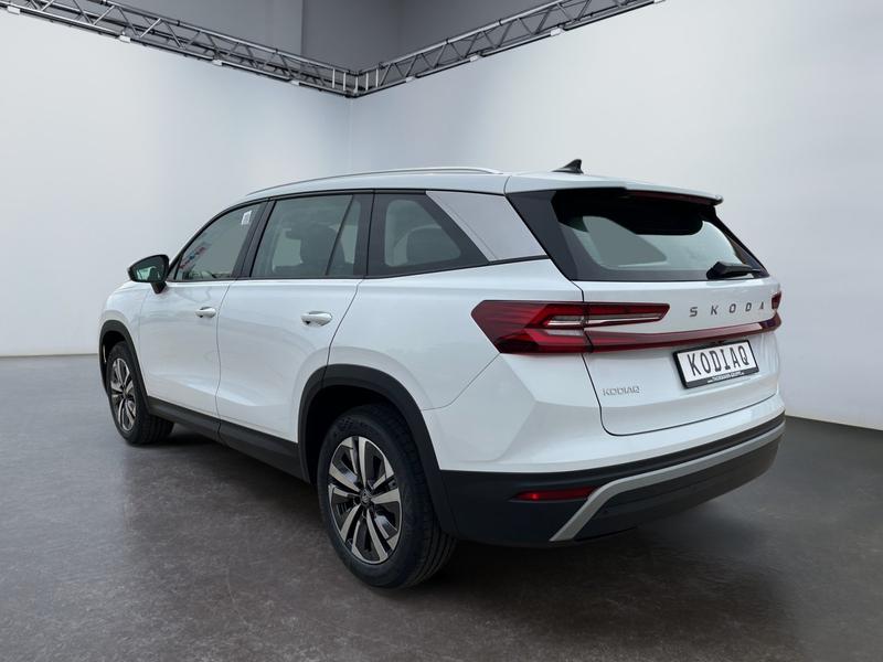 Skoda Kodiaq · Selection