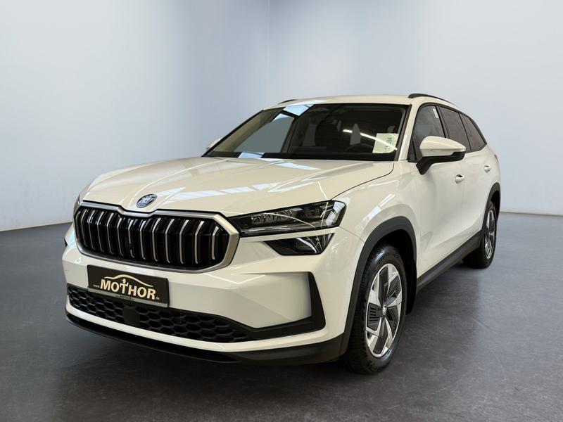 Skoda Kodiaq · Selection