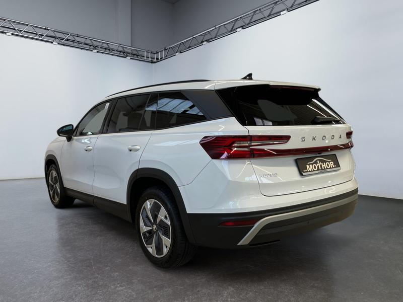 Skoda Kodiaq · Selection