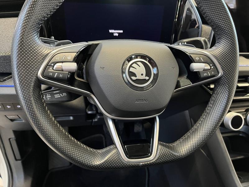 Skoda Kodiaq · Selection · Bild 23