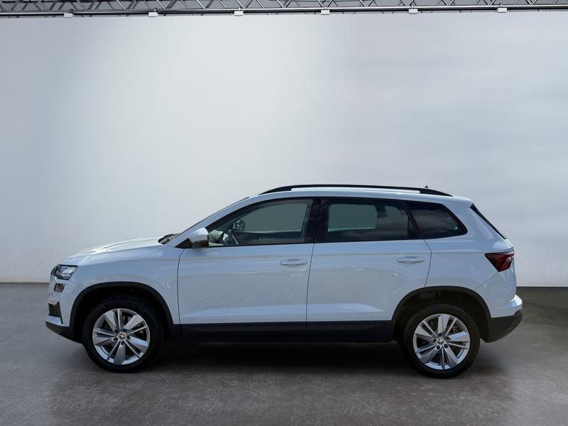 Skoda Karoq · Selection