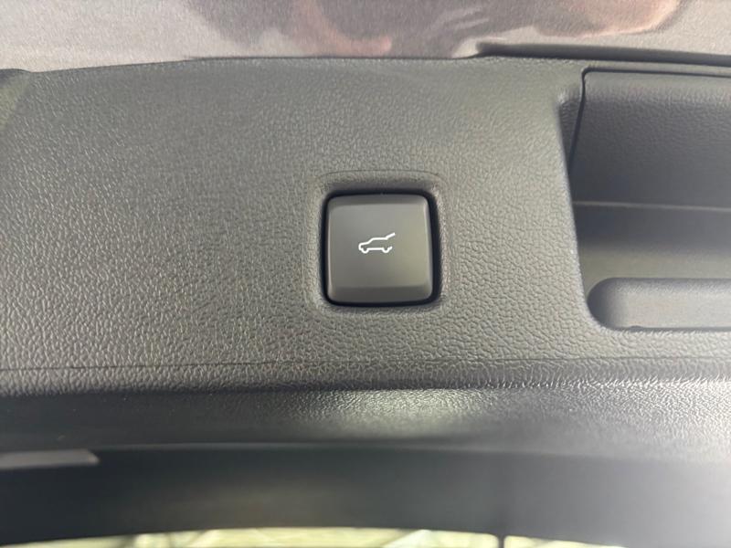 Ford Kuga · ST-Line X · Bild 19