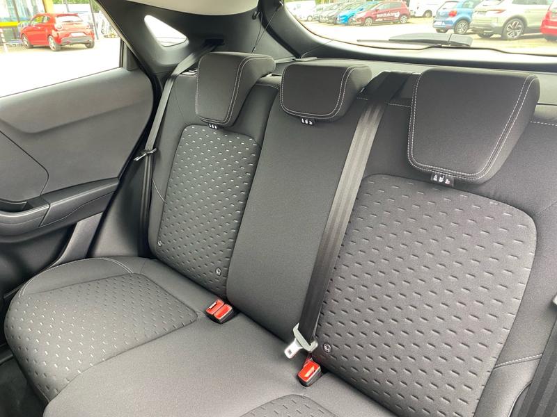 Ford Puma · Titanium · Bild 17