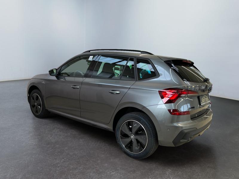 Skoda Kamiq · Monte Carlo