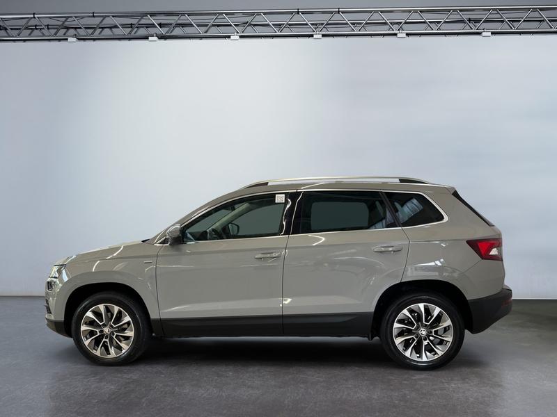 Skoda Karoq · Clever
