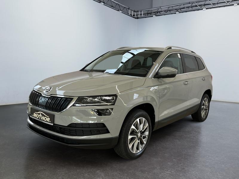 Skoda Karoq · Clever